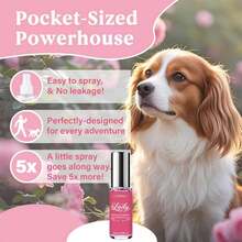 10ml Tiergeruchsentferner Spray, fertig zur Verwendung Haustier-Deodorant für starke Geruchsbeseitigung von Sekreten, Sprays, Fäkalien und Urin, nicht enzymatischer Hunde- und Katzen-Deodorant