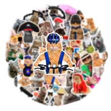 66 pegatinas de gato caprichosas, resistentes al agua, de varios tamaños y formas - perfectas para decoración DIY en teléfonos, portátiles, patinetas y cascos, accesorios de gato