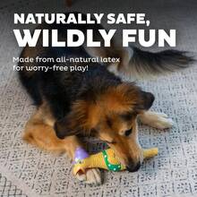 Outward Hound By Charming Pet Squawkers Grandma Hippie Chick Latex Squeaky Rubber Chicken Dog Toy, Funny Interactive Holiday Toy For Dogs, Large Size - ColorB - 查看 4