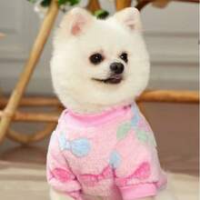 1pc Puppy Daycare Pet Dog Costume, Sweet Style Pet Hoodie, Puppy Daycare, Puppy Daycare , Dog Costume, Chihuahua Dog Clothes, Colorful Bow Decor Small Dog & Cat Autumn/Winter Outfit, Soft & Warm Yet Adorable