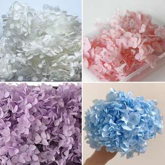 1/5 Box Natural Dried Lily & Hydrangea Flowers, Colorful, Suitable For DIY Projects, Photography Props, Bookmarks, Wedding Party Decor, Home Decor, Birthday Gifts, Holiday Gifts, Valentine's Day And Christmas