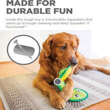 Outward Hound Fire Biterz Turtle Plush Firehose Material Interactive Dog Toy, Medium - ColorC - 查看 6