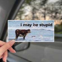 Engraçado "Eu Posso Ser Burro" Adesivo de Carro com Tema de Gasolina - Adesivo Humorístico para Para-Choque, Adequado para Carros, Caminhões, etc. | Material de Vinil À Prova d'Água | Presente Ideal para Motoristas, Entusiastas de Carros, Amantes de Viagens de Carro e Brincalhões - Multicolorido - Visão 12