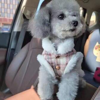 1pc Plaid Pattern Leash Jacket, Pet Vest, Dog/Cat Clothes, Autumn/Winter Thickened Warm Plaid Leash Vest For Small Dogs Like Teddy, Pomeranian, Bichon Frise