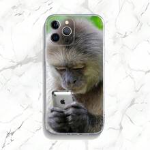 Monkey Sipping Caprisun Meme Phone Case Compatible With  15,14,13,12,11 Plus,Pro,Max,XR,XS,X,7,8 Plus,SE,Mini Transparent Soft Case, Cover Compatible With  17 Pro Max Case,  17 Pro Case,  17 Case,  16 Pro Max Case - Z7 - View 9