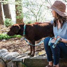 Lesă pentru câini Furmylove, lesă pentru animale de companie, mâner moale și ușor, încuietoare metalică, mâner micro-elastic anti-șoc, lesă durabilă din nailon pentru câini, lesă la modă de 150 cm/60 in, model abstract, potrivită pentru câini de talie medie și mare, activități în aer liber, plimbări, accesorii pentru animale de companie