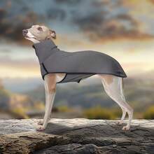 1pc Pet Hoodie, New Pet Clothes, Solid Color Patchwork Pet Dog Clothes, Warm High Collar Dog Apparel - Multicolor - View 4