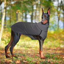 1pc Pet Hoodie, New Pet Clothes, Solid Color Patchwork Pet Dog Clothes, Warm High Collar Dog Apparel - Multicolor - View 5
