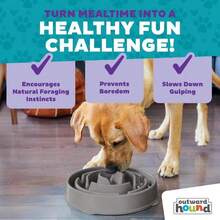 Outward Hound Fun Feeder Slo Bowl, Large Slow Feeder Dog Bowl, 4 Cups, Blue - Màu B - Xem 5