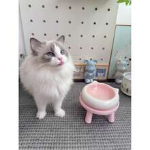 Tazón de cerámica con orejas de gato lindo, tazón de mascotas colorido, tazón de comida universal para gatos y perros, tazón antiderrame para comida de gato, utensilios de comida para mascotas