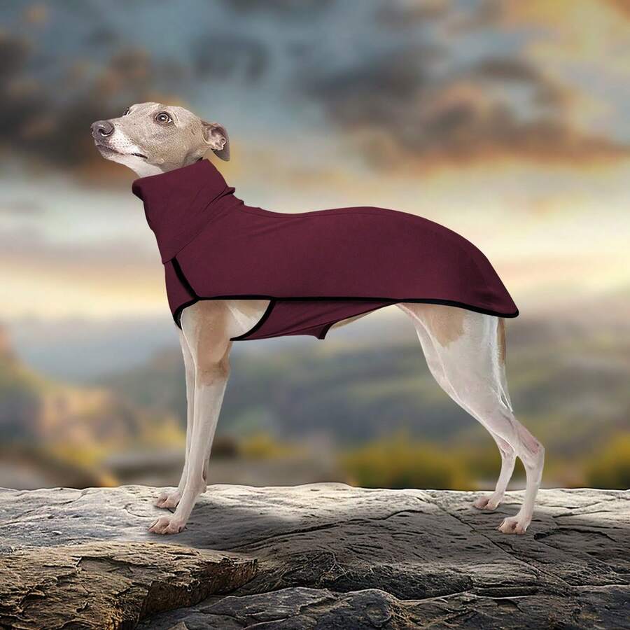 1pc Pet Hoodie, New Pet Clothes, Solid Color Patchwork Pet Dog Clothes, Warm High Collar Dog Apparel - Multicolor - View 1