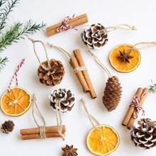 2pcs Christmas Dried Fruit Pendants Dried Flowers Pine Cones Orange Slices Cinnamon Rolls Shooting Props Christmas Pendant Decoration - Multicolor - View 4