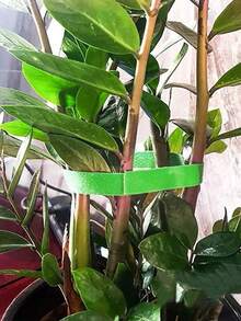 1 卷花园钩环带、植物钩环带、花园阳台护理美容植物胶带尼龙植物捆绑带、装饰性植物形状包装胶带（带钩）适用于家庭园艺
