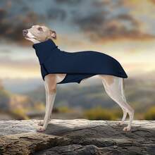 1pc Pet Hoodie, New Pet Clothes, Solid Color Patchwork Pet Dog Clothes, Warm High Collar Dog Apparel - Multicolor - View 9