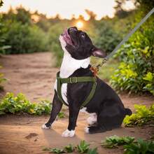 1pc Adjustable Sturdy Nylon Chest Harness, Suitable For Small To Medium Dogs, Military Green