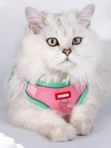 طقم سترة للمشي للخارج للقطط/الكلاب - سترة شبكية ناعمة قابلة للتنفس، مناسبة للكلاب الصغيرة، حزام حيواني قابل للتعديل وقابل للتنفس، للمشي في الخارج (مع سلسلة طول 1.5م)