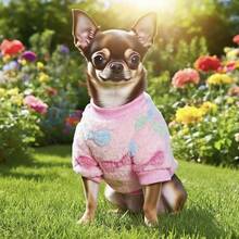 1pc Puppy Daycare Pet Dog Costume, Sweet Style Pet Hoodie, Puppy Daycare, Puppy Daycare , Dog Costume, Chihuahua Dog Clothes, Colorful Bow Decor Small Dog & Cat Autumn/Winter Outfit, Soft & Warm Yet Adorable