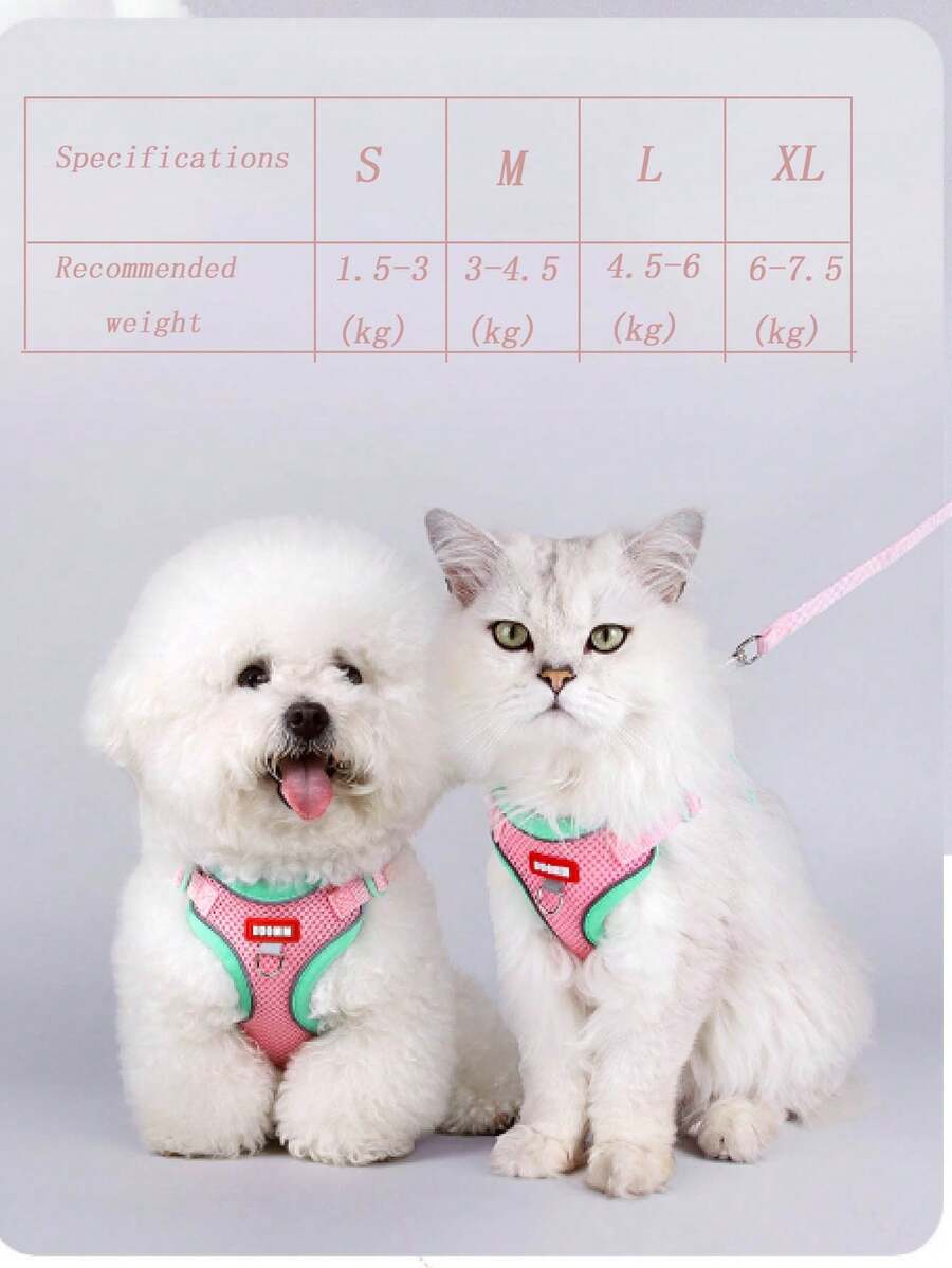 طقم سترة للمشي للخارج للقطط/الكلاب - سترة شبكية ناعمة قابلة للتنفس، مناسبة للكلاب الصغيرة، حزام حيواني قابل للتعديل وقابل للتنفس، للمشي في الخارج (مع سلسلة طول 1.5م)