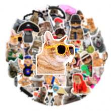 66 pegatinas de gato caprichosas, resistentes al agua, de varios tamaños y formas - perfectas para decoración DIY en teléfonos, portátiles, patinetas y cascos, accesorios de gato