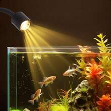 USB Aquarium Light With Timer, Adjustable Focus Spotlight, Compact Clip-On Full Spectrum Fish Tank Light, 3 Lighting Colors, Button Control And Timer (3/9/12 Hours), Aquarium LED Landscape Light, High Brightness, Transparent, 360° Rotatable, Suitable For Fish Tank - Multicolor - View 4