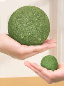 1 个巨型猫球，自玩猫玩具，供猫咪咀嚼、抓挠、娱乐