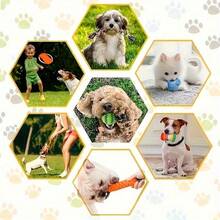 10pcs Indestructible Dog Chew Toys Set, Plush + Rope + TPR + Silicone Materials, Teeth Cleaning Chew Toys For Small Dogs, No Battery Required (Random Assortment) - Multicolor - View 10