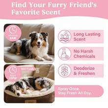 10ml Tiergeruchsentferner Spray, fertig zur Verwendung Haustier-Deodorant für starke Geruchsbeseitigung von Sekreten, Sprays, Fäkalien und Urin, nicht enzymatischer Hunde- und Katzen-Deodorant
