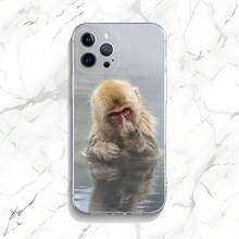 Z6