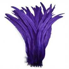 100 pièces Plumes de coq - Longues de 25-35 cm, plumes de queue de coq colorées mélangées, convenant pour la décoration de mariage, les coiffures, les mascarades, l'artisanat, les projets DIY, les éléments de coiffe, les accessoires de costume, les plumes décoratives, les plumes d'artisanat de haute qualité, l'artisanat fait main pour les fêtes, la décoration d'événements