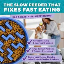 Outward Hound Fun Feeder Slo Bowl, Medium Slow Feeder Dog Bowl, 2 Cups, Blue (Pack Of 12) - ColorA - 查看 4