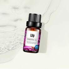 12 Scents, 10ml Each, Including Lavender, Rose, Jasmine, Chamomile, Mint, And Ocean Scents. Suitable For Air Fresheners, Humidifiers, Soaps, And Handmade DIY Candles. Perfect For Offices, Bathrooms, Cars, And Other Spaces Where You Want A Long-Lasting Fragrance. Makes The Perfect Holiday Gift For Friends And Family! - 10ml - View 7