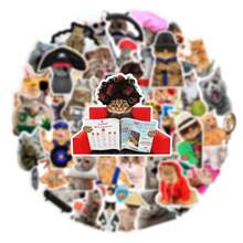 66 pegatinas de gato caprichosas, resistentes al agua, de varios tamaños y formas - perfectas para decoración DIY en teléfonos, portátiles, patinetas y cascos, accesorios de gato