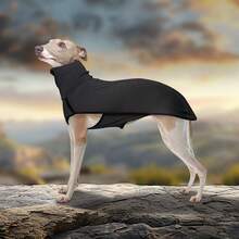 1pc Pet Hoodie, New Pet Clothes, Solid Color Patchwork Pet Dog Clothes, Warm High Collar Dog Apparel - Multicolor - View 6