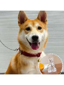 1 件 PET 材质坐狗设计钥匙扣 - 高品质 PET 毛发收集钥匙扣 - 适合狗主人 - 具有附加值的钥匙扣，PET 毛发收集和保护纪念品，可挂在钥匙、包包和户外用品上 - 适合作为爱狗人士的纪念品 - 彩色 - 查看 7