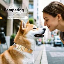 AD Fashionable And Colorful Pet Car Retractable Elastic Traction Leash With Safety Buckle, Nylon Anti-Slip Rope, Suitable For Small, Medium And Large Dogs - Car Pet Leash - View 3