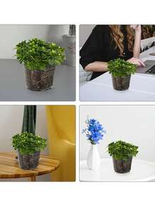 Orchid Seedling Round Pot, Transparent Orchid Container, Round Pot, Butterfly Orchid Transparent Plastic Pot Green Plant Pot Dendrobium Phalaenopsis Rose Cutting Planting Experimental Pot - Transparent - View 4