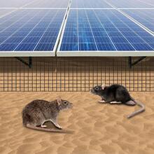 100ft Solar Panel Bird Guard Mesh - 8inch Wide 0.5in Grid PVC Coated Iron Wire With 70 Clips, Anti-Bird Rodent Proof Protection Net For Roof Solar Systems (Black) - Black - View 1