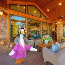 Bata de baño de plástico con forma de ganso, estilo anciana, con rulos y cinturón, ideal para jardín o patio. - Morado - Ver 4