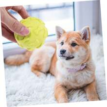 1 TPR Pet Bite Toy, Dog Toy, Cat Toy, Ball Rubber Toy, Interactive, Throwing Ball