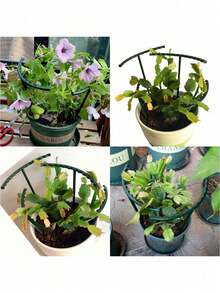 一个刻度喷壶,室内植物浇水壶,花园浇水壶,塑料浇水壶,长嘴浇水壶,带刻度,方便监测水位,必备园艺工具。适用于室内植物、花卉和多肉植物,有 1 升和 1.5 升两种规格。 - 彩色 - 查看 11