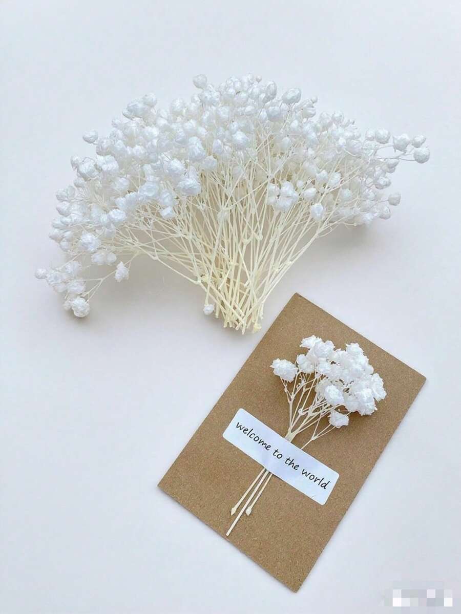 50/100/300pcs Natural Dried Baby's Breath Flowers - Elegant Preserved Baby's Breath, Suitable For Home, Office, Wedding, Christmas, Halloween Party, Handicrafts, Maintenance-Free, Suitable For Ages 14+ (No Paper Card)