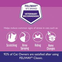 FELIWAY? Clic 30 Day Cat Calming Refill For Pheromone Diffuser, 48ml - Helps Reduce Common Signs Of Stress In Cats &Amp; Kittens, Enhanced Calming - 3 件裝 - 查看 3