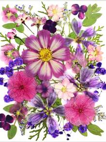 35-43 件天然干压花树脂 DIY 套件，环氧树脂珠宝模具，蜡烛，肥皂制作，美甲装饰，书签。天然真叶材料 - 由季节性真叶制成，经过特殊脱水、压制和干燥以保留原有。自然风格，适合任何 DIY 工艺品。