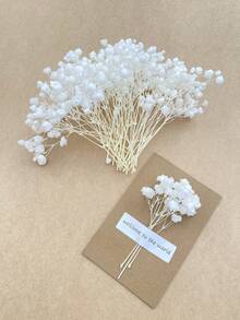 50/100/300pcs Natural Dried Baby's Breath Flowers - Elegant Preserved Baby's Breath, Suitable For Home, Office, Wedding, Christmas, Halloween Party, Handicrafts, Maintenance-Free, Suitable For Ages 14+ (No Paper Card)