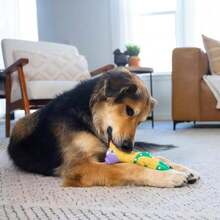 Outward Hound By Charming Pet Squawkers Grandma Hippie Chick Latex Squeaky Rubber Chicken Dog Toy, Funny Interactive Holiday Toy For Dogs, Large Size - 顏色B - 查看 5