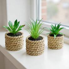 3/5 piezas de plantas suculentas artificiales en macetas de plástico - Suculentas falsas realistas para decoración del hogar, escritorio de oficina, estantería, baño - Vegetación interior de bajo mantenimiento, centro de mesa, decoración de boda y fiesta