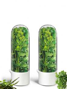 1/2/3pcs Refrigerator Herb Preserver, Refrigerator Herb Storage Container, Cilantro, Mint, Parsley, Asparagus Vegetable Preservation Jar, Keeps Vegetables Fresh For 2-3 Weeks