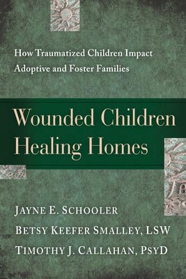 Pre-Owned Wounded Children, Healing Homes: How Traumatized Children Impact Adoptive And Foster (Paperback) By Jayne Schooler, Betsy Keefer Smalley, Timothy Callahan - Single Book - View 1