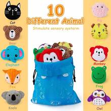 Sensory Bean Bag 10 Pack,Texture Sensory Beanbags,Sensory Toys Autism,Animal Sensory Fine Motor Toys With Storage Bag Boys And GirlsBaby Rattle Teething Soft Plush Stuffed Animal Cuddly Sensory Textured Crinkle Squeaky Musical Piano Drum Xylophone Light Up Flashing Projection Rattle Ball Soft Ball Rubber Ball Squeeze Ball Stacking Stacking Rings Nesting Cups Building Blocks Soft Blocks Wooden Blocks Shape Sorter Puzzle Peg Puzzle Floor Puzzle Bath Floating Squirt Bath Crayon Pull Push Walker Ride On Rocking Horse Stroller Car Hanging Mobile Crib Mobile Plush Mobile Activity Gym Gym Tummy Mirror Chew Bite Developmental Learning Educational Interactive Battery Operated Wind Up Handheld Travel Portable Kit Sticker Book