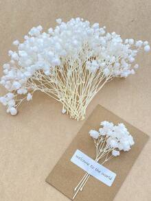 50/100/300pcs Natural Dried Baby's Breath Flowers - Elegant Preserved Baby's Breath, Suitable For Home, Office, Wedding, Christmas, Halloween Party, Handicrafts, Maintenance-Free, Suitable For Ages 14+ (No Paper Card)